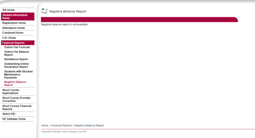 Negative Balance Report